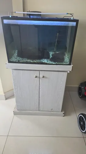 Aquário 100 Litros Completo 