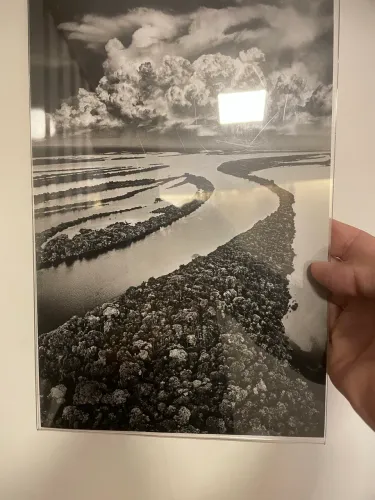 Sebastião Salgado ilhas anavilhanas
