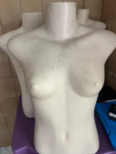 Bustos femininos