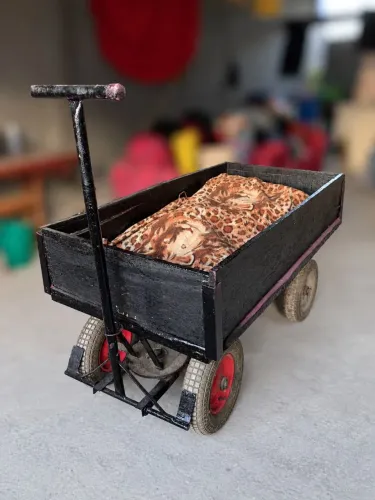 Vende-se Carrinho de carga (Burrinha)