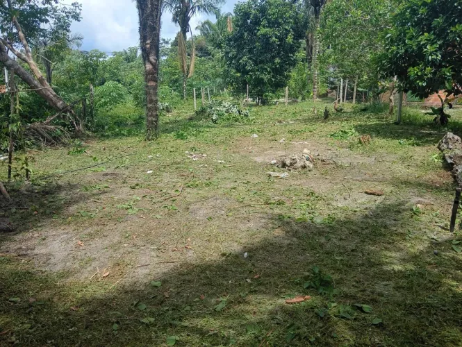 Terreno no rio preto da eva