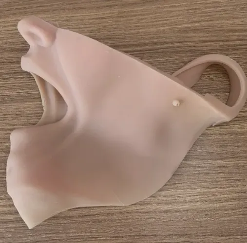 Bochecha odontológica 