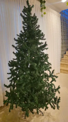 Árvore de Natal