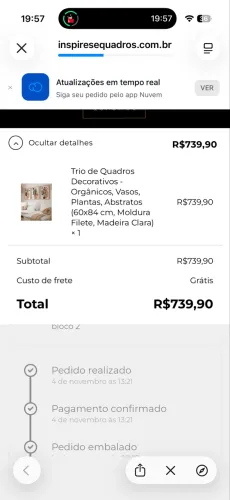 Trio de Quadros Decorativos Vasos plantas orgânicos