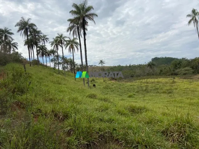 FAZENDA À VENDA - 650 HECTARES - REGIÃO DE CAMPOS ALTOS (MG)