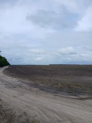 Fazenda em Buriti de Inacia Vaz do Maranhão