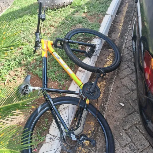 Bicicleta aro 29