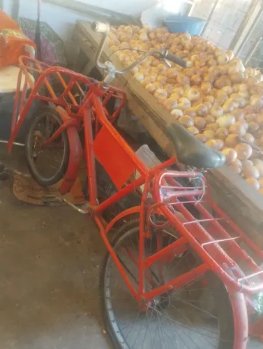 Bicicleta de cargas de 200 Reais *12