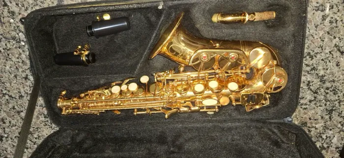 Vendo Sax soprano curvo Dolphin