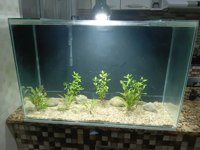 Vendo aquário grande de 132 litros completo