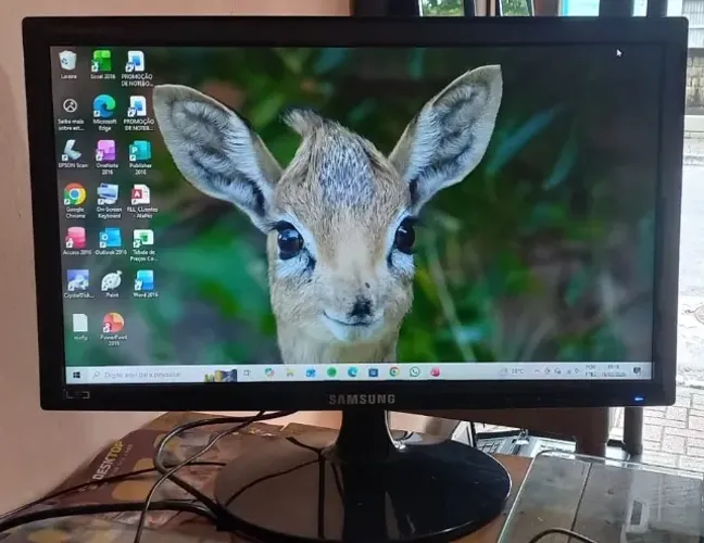 Monitor Samsung S19A300B - 19 Polegadas - VGA/Dvi - 12 Volts.