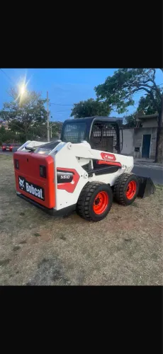 Bobcat