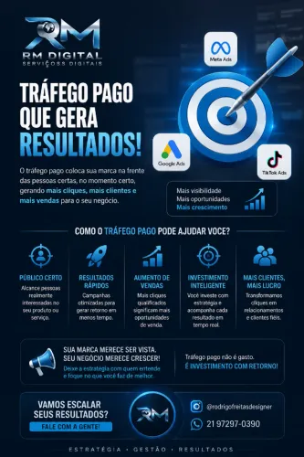 GESTOR DE TRAFEGO