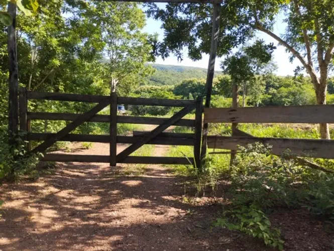 VENDE-SE UMA CHACARA COM 6 HECTARES PROX.GUIA.