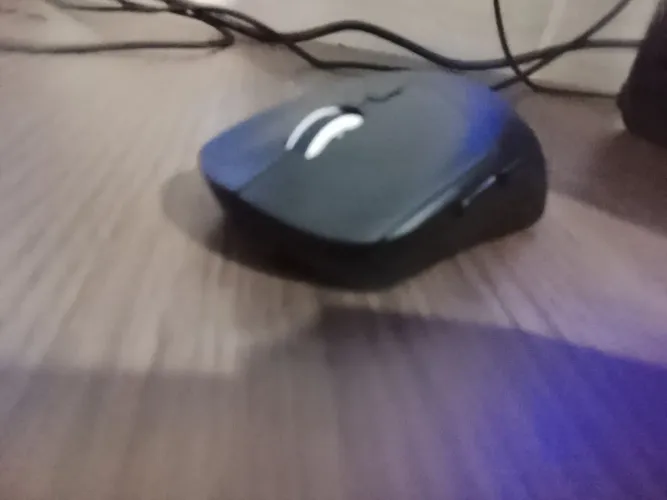 Mouse m348