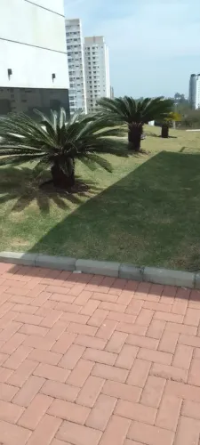 CONTRATA-SE JARDINEIROS 