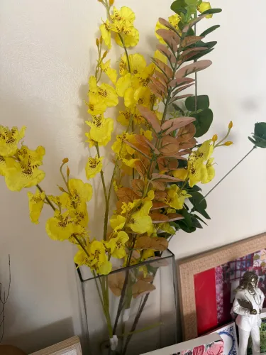 Flor
