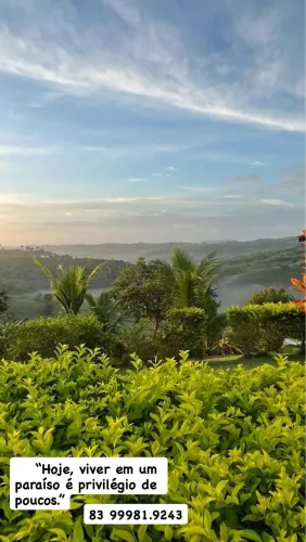 Vendem-se terrenos em Pilões 