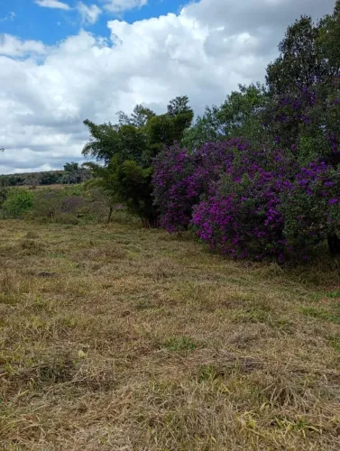 Chacaras rurais serra azul