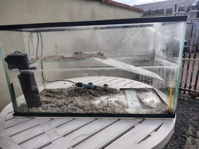 AQUATERRÁRIO COM FILTRO E TERMOSTATO 