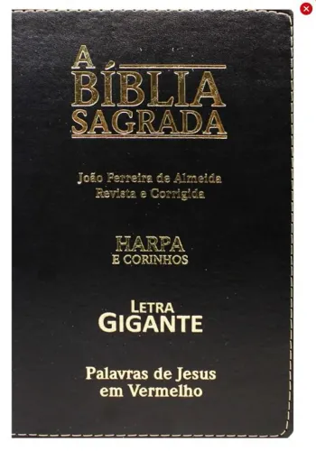 Bíblia Sagrada Letra Gigante Harpa e Corinhos