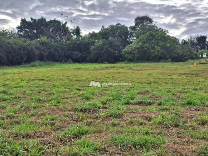 Terreno à venda, 2128 m² por R$ 319.000,00 - Centro - Potirendaba/SP