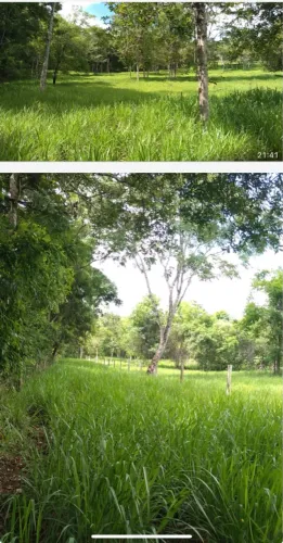 Sítio próximo Uberlândia 25 hectares