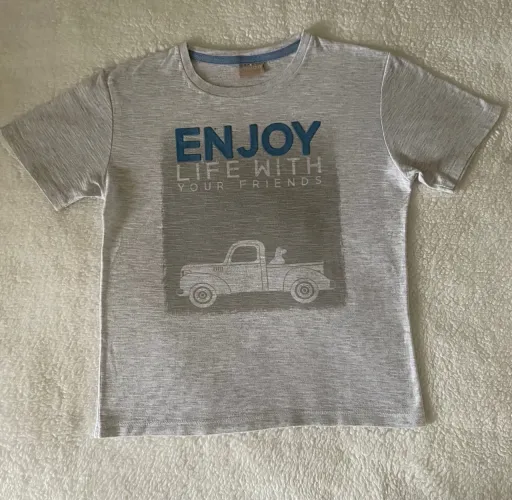 Camiseta Milon - Cinza - 6 anos