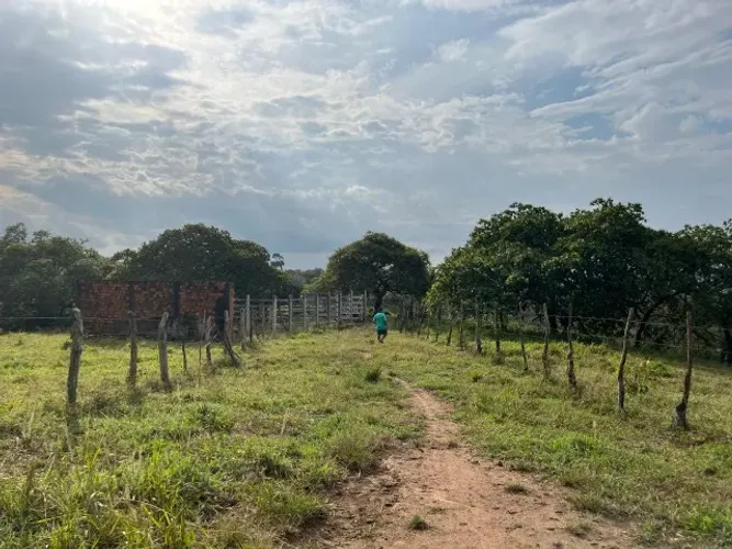 PASTO FEITO - POVOADO CAMPANHA, SÃO DOMINGOS SE