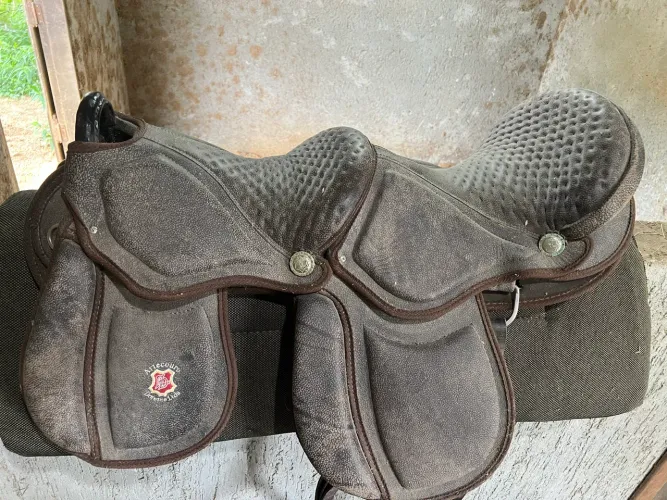 Sela australiana dupla, adulto e criança!