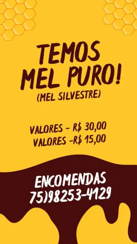 Mel silvestre 100% natural 