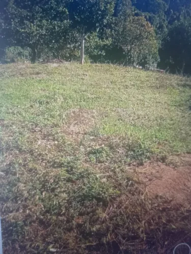 Sítio queira Deus