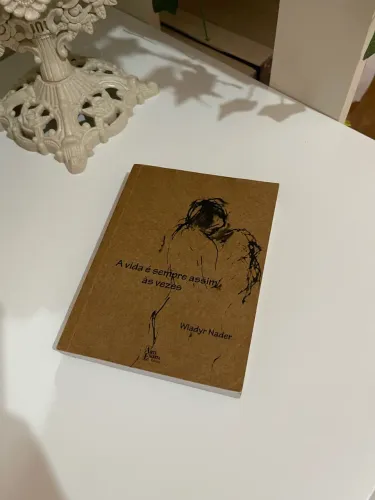Livro A vida é sempre assim às vezes