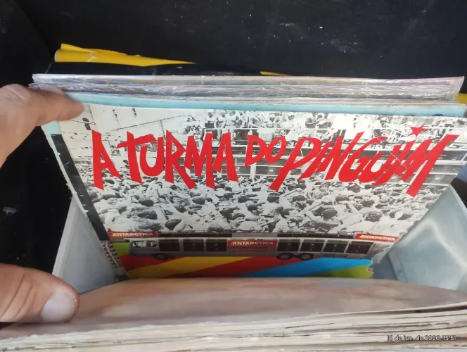 VINIS RAROS DE ROCK NACIONAL E INTERNACIONAL MPB e CLÁSSICOS
