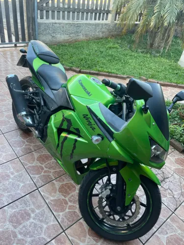 Kawasaki Ninja 250r Monster