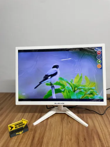 Monitor Bluecase 19 polegadas TN