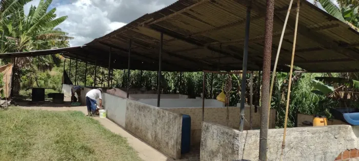 Aluga-se Sítio em Candeias-BA