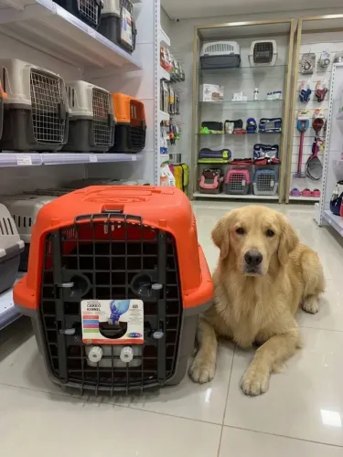 Caixa de Transporte Cães e Gatos Nº 4 Plast Pet - 70x53,5x49cm