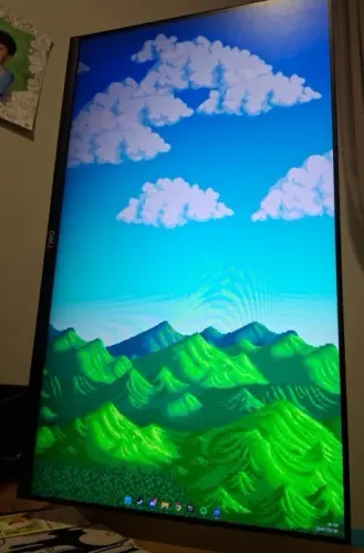 MONITOR DELL S2421HN 24" + BRACO ARTICULADO