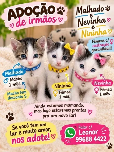 MALHADO, NEVINHA e NININHA