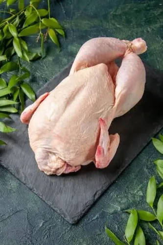 Pato abatido