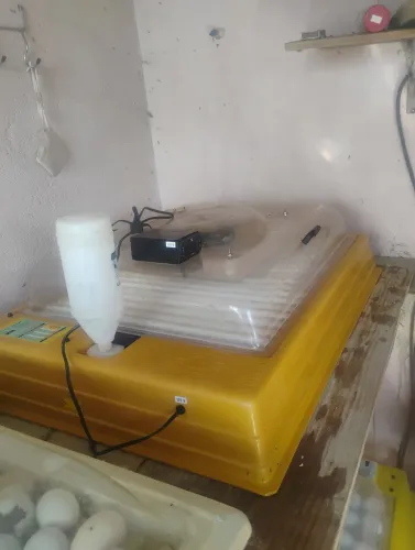 Chocadeira Prêmio ecológica IP 130