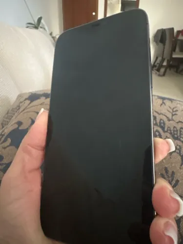 iPhone 12 Pro Max 256