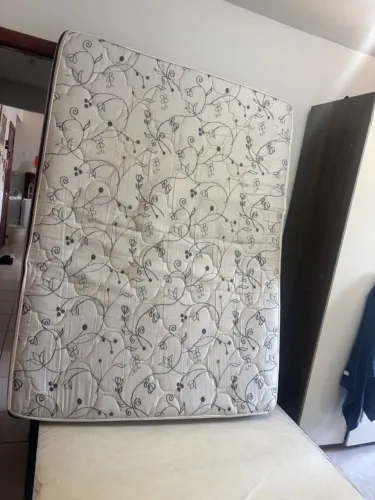 Cama