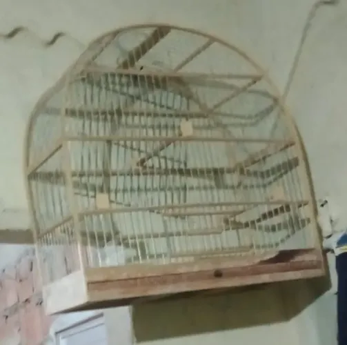Gaiolas