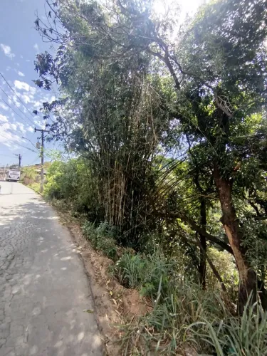 Vendo Terreno no Belmonte