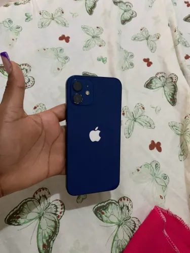 iPhone 12 novo