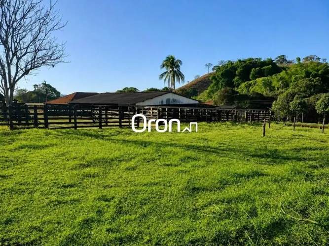 Fazenda à venda, 3500000 m² por R$ 65.000.000,00 - Goiania - Goiânia/GO