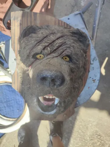Cabeça de urso parede