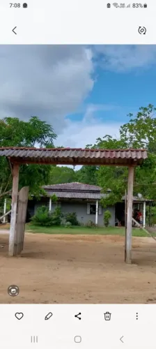 Vendo este sítio na estrada de novo Airão